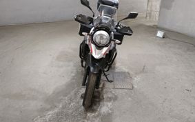 SUZUKI V STROM 250 DS11A