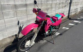 KAWASAKI KDX250SR DX250F