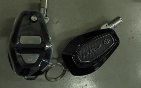 HARLEY FLTRXSE1980CVO 2025