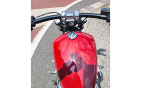 HARLEY HARLEY FLI HYDRA-GLIDE 2020 YHK