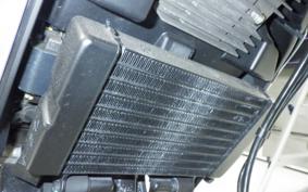 DUCATI SCRAMBLER 1100 2023