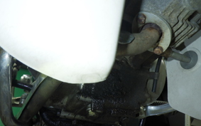 HONDA C50 SUPER CUB 2024 C50