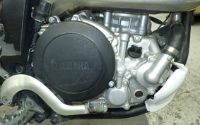 YAMAHA WR250X DG15J