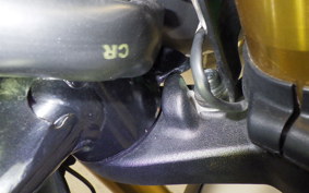 TRIUMPH SPEED 400 2024