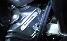 KAWASAKI NINJA 1000SX 2025 ZXT02K