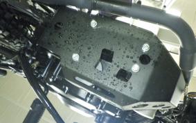 OTHER +UNREGISTERED MODEL by BDS250 2007