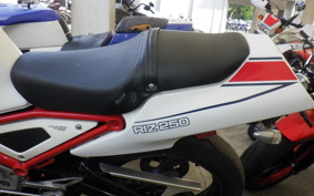 YAMAHA R1-Z 1995 3XC