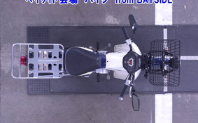 OTHER C110PU LOW 3