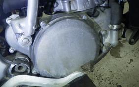 SUZUKI RM250