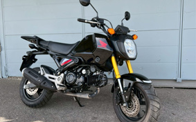 HONDA GROM JC92