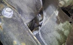 HONDA STEED 400 1993 NC26