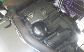 DUCATI MONSTER 937 + 2024