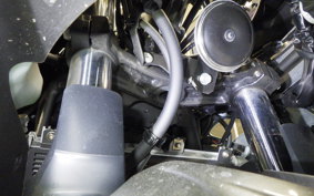 KAWASAKI NINJA 250 2 2021 EX250Y