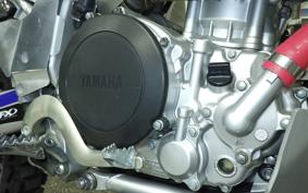 YAMAHA WR250R 2023 DG15J