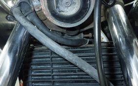 HONDA VT250FE 2001 MC08