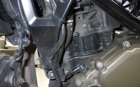 HUSQVARNA SVARTPILEN 250 2021