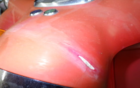 HONDA GIORCUB 2009 AF53