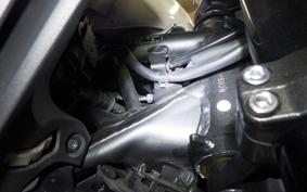 HONDA NX400 2024 NC65