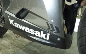 KAWASAKI NINJA 250 2 2019 EX250P