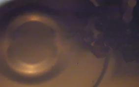 YAMAHA SEROW 250 2009 DG11J