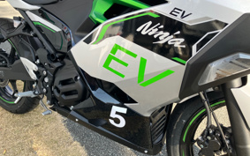 KAWASAKI NINJA E-1 NX011A