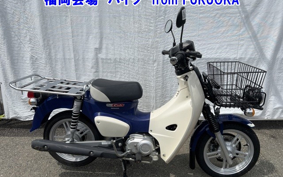 OTHER C110-4