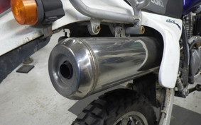 SUZUKI DJEBEL 250 XC