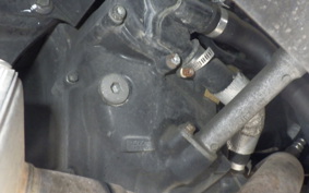 YAMAHA MAXAM 250 SG21J