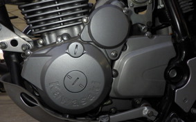 KAWASAKI SUPER SHERPA KL250G