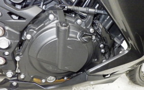 KAWASAKI NINJA 250 2023 EX250P