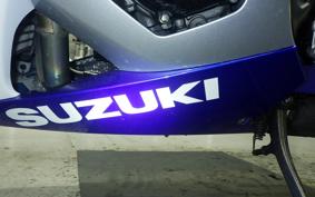 SUZUKI GSX-R1000 2009