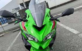 KAWASAKI Ninja ZX-4RR KRT 2024 ZX400P