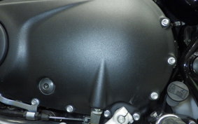 TRIUMPH SPEED TWIN 900 2023