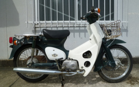 HONDA SUPER CUB50 C50