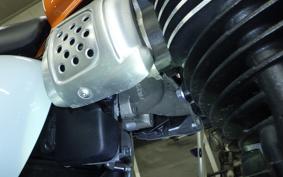 TRIUMPH BONNEVILLE T100 2022
