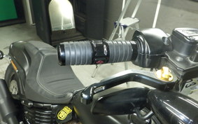 HARLEY FXFBS1870 2019