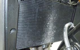 YAMAHA MT-09 SP 2024 RN69J