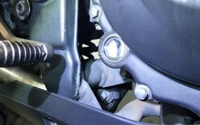 KAWASAKI NINJA 250 EX250L