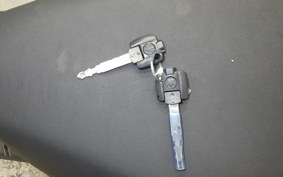 YAMAHA X-FORCE SG79J