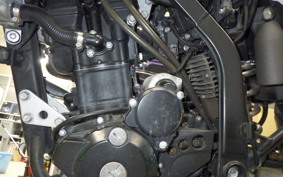 KAWASAKI KLX250D TRACKER X LX250V