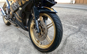 YAMAHA YZF-R15 RG06