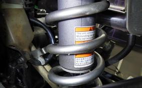 KAWASAKI KLX250D TRACKER X 2021 LX250V