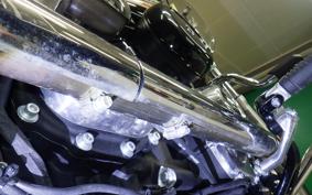 HARLEY FXST1750 2024