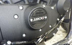 HARLEY XL1200NS 2019