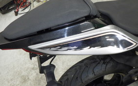 KAWASAKI NINJA 250 2 2021 EX250P