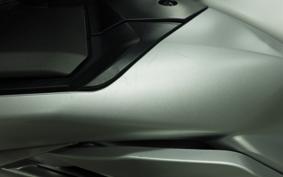 YAMAHA FJR1300 AS 2017 RP27J