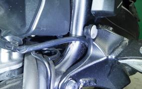 HONDA NT1100 2024 SC84