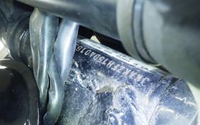 KAWASAKI Z550 GP 2023