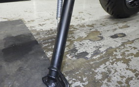TRIUMPH TRIDENT 660 2026