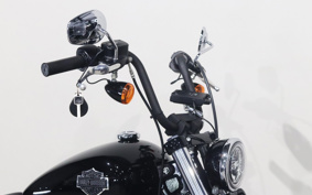 HARLEY FXBB 2019 YJJ